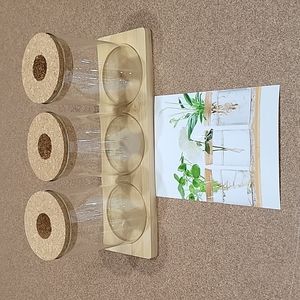 Desktop Plant Terrarium!!!